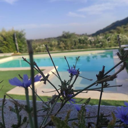 B&B Badde Tale Ossi Exterior foto