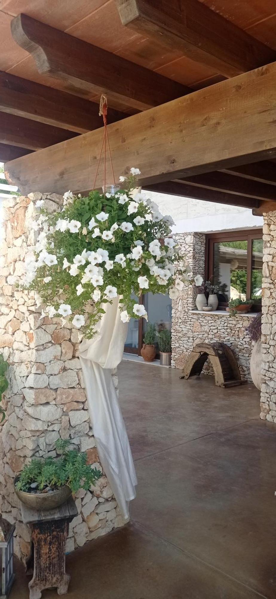 B&B Badde Tale Ossi Exterior foto
